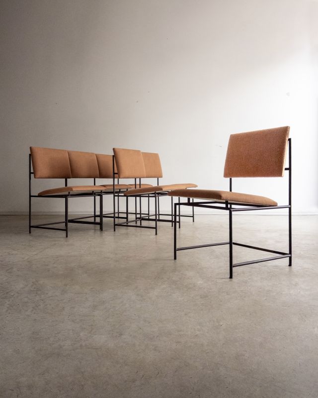 Conjunto de 6 Cadeiras Estruturais