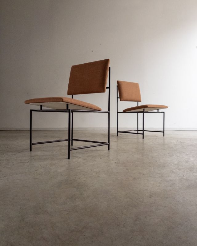 Conjunto de 6 Cadeiras Estruturais