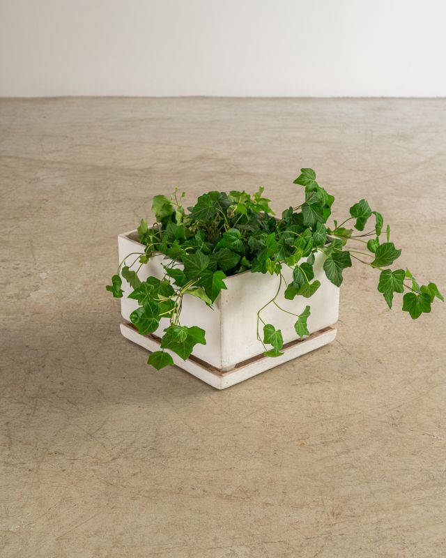 Vaso Quadrado com Prato (Selado)