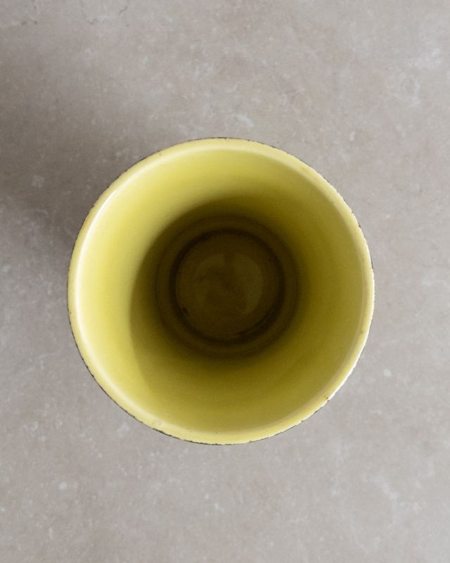 Vaso Vitrificado Vaso Vitrificado